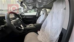 بي واي دي ديستروير 05